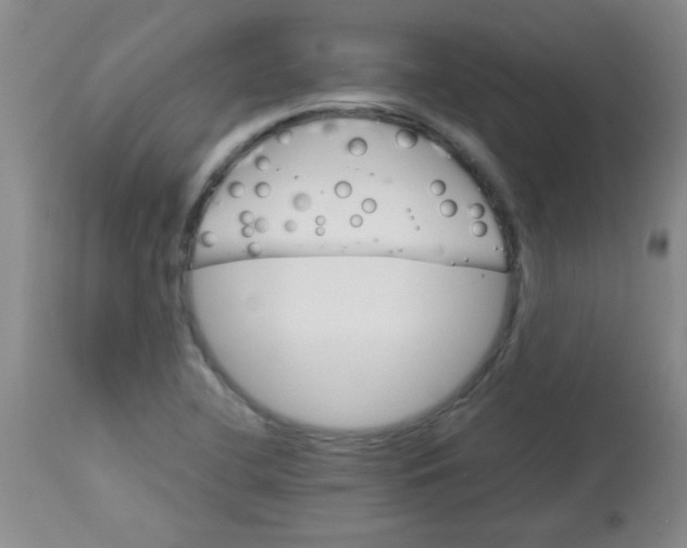 X0000113751412200910211136