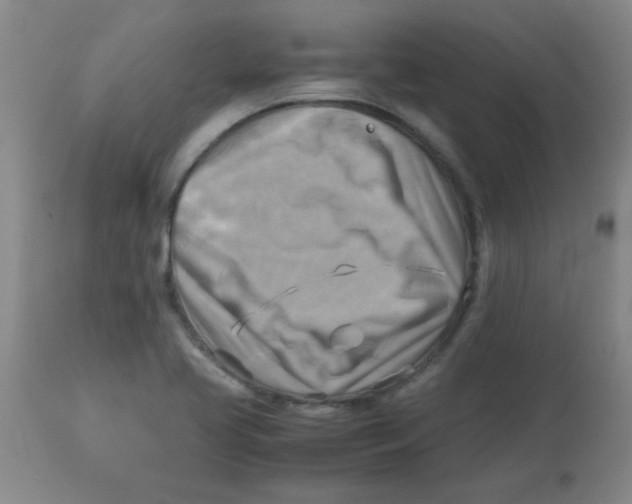 X0000113751413200910211136