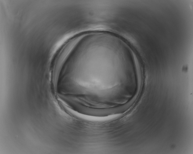 X0000113751414200910211136