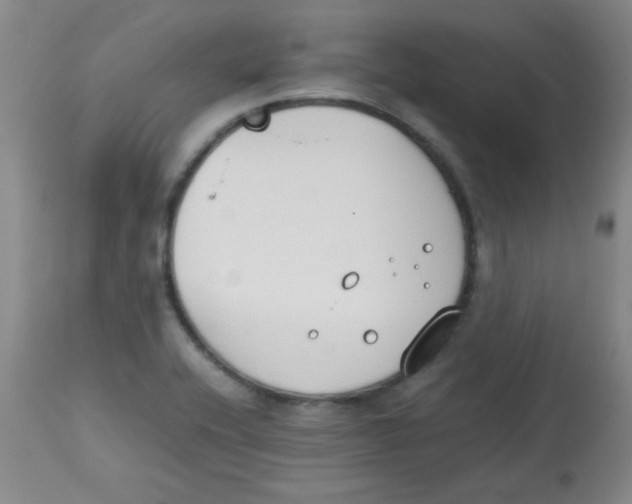 X0000113751416200910211136