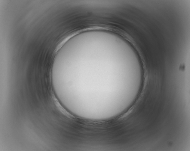 X0000113751417200910211136