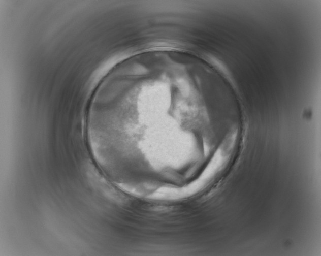 X0000113751419200910211136