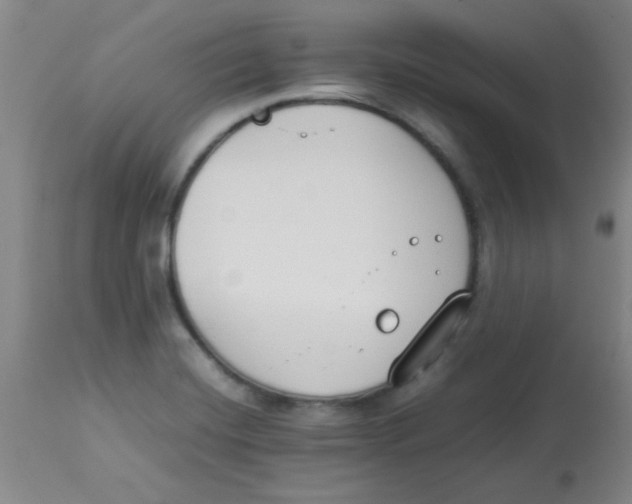 X0000113751420200910211136