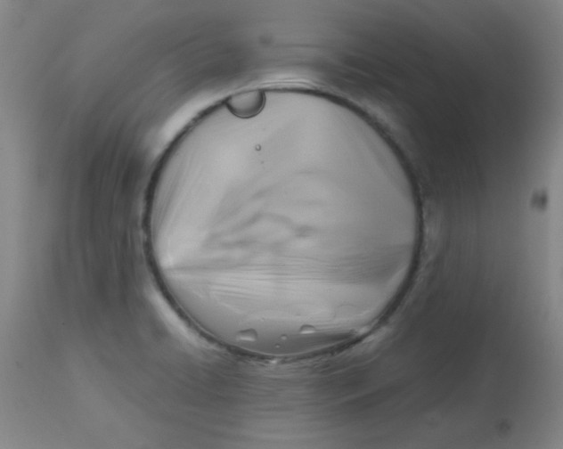 X0000113751422200910211136