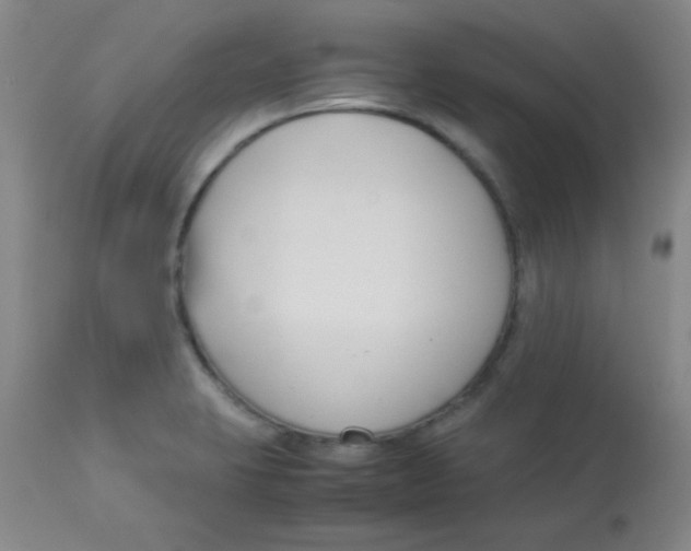 X0000113751423200910211136