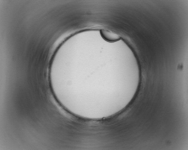 X0000113751424200910211136