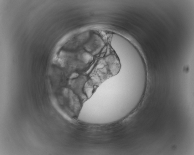 X0000113751429200910211137