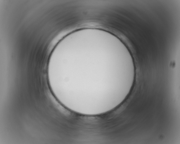 X0000113751432200910211137