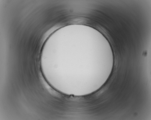 X0000113751434200910211137