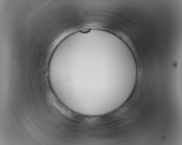 X0000113751435200910211137