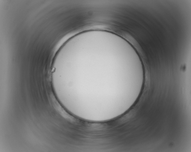 X0000113751436200910211137