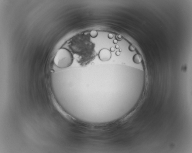 X0000113751437200910211137