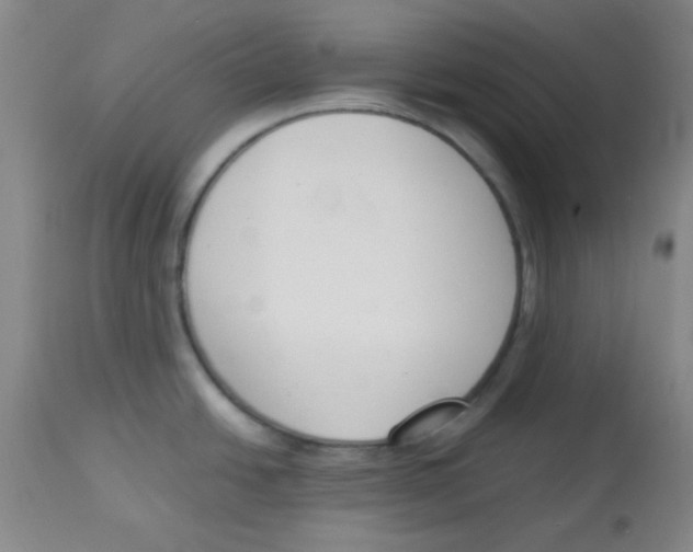 X0000113751438200910211137