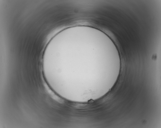 X0000113751439200910211137