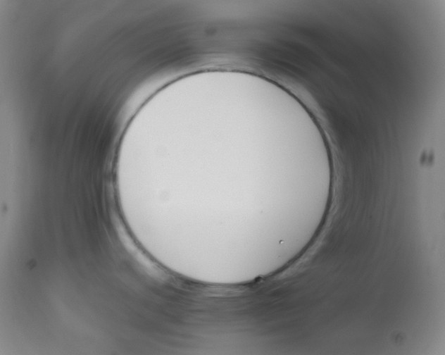 X0000113751440200910211137