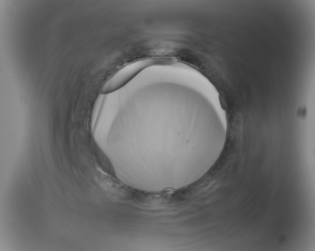 X0000113751441200910211136