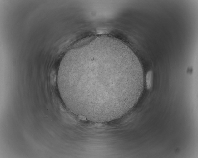 X0000113751443200910211136