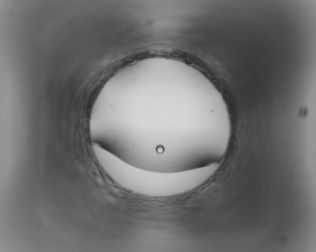 X0000113751445200910211136