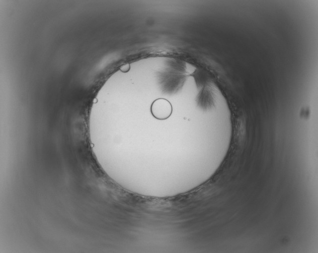 X0000113751446200910211136