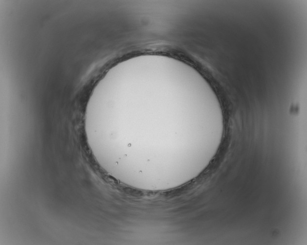 X0000113751447200910211136