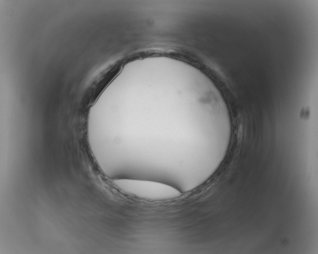 X0000113751448200910211136