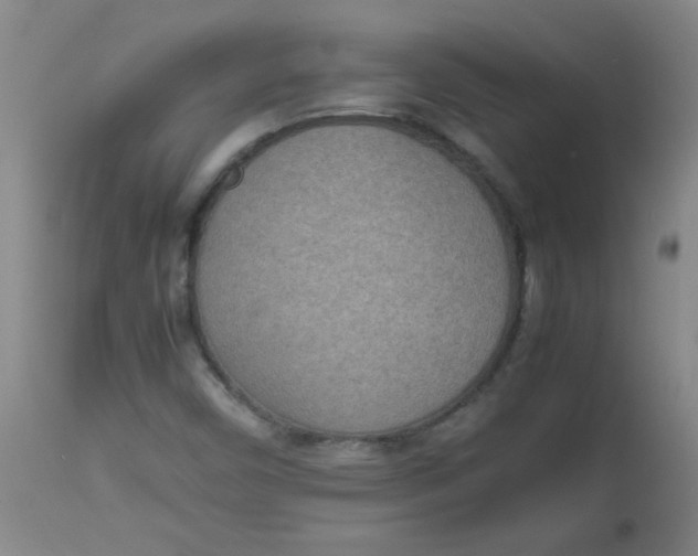 X0000113751450200910211136