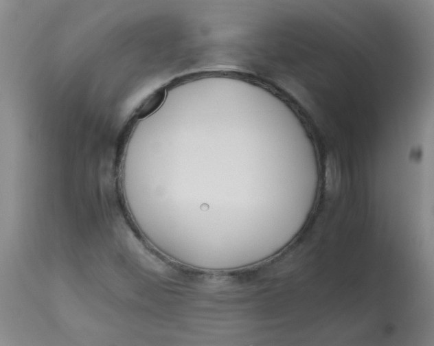 X0000113751452200910211136