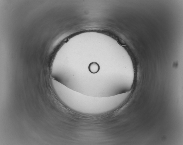 X0000113751453200910211136