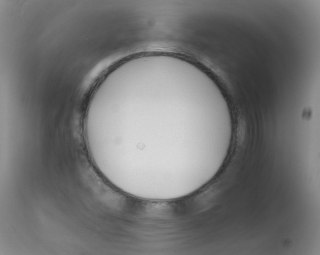 X0000113751454200910211136