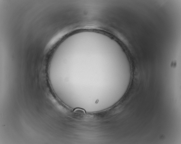 X0000113751456200910211136