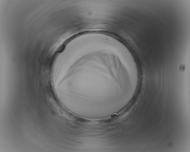 X0000113751457200910211136