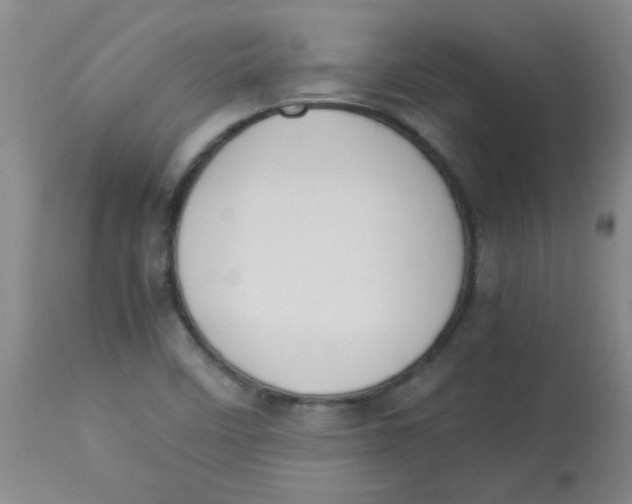 X0000113751458200910211136