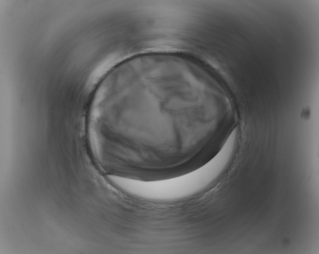 X0000113751459200910211136