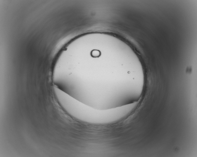 X0000113751461200910211136