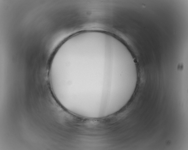 X0000113751462200910211136