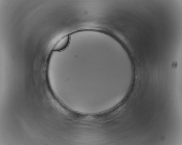 X0000113751463200910211136