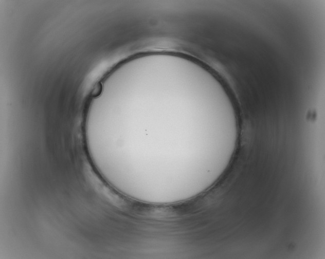 X0000113751464200910211136