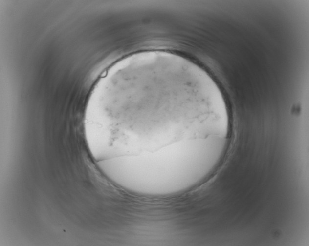 X0000113751465200910211136