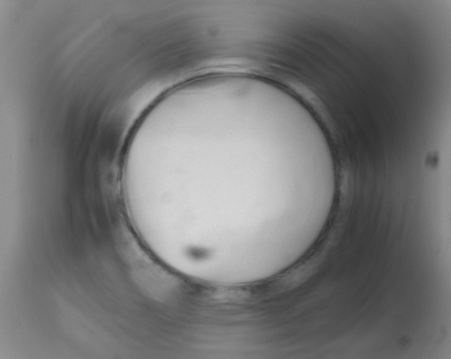 X0000113751466200910211136