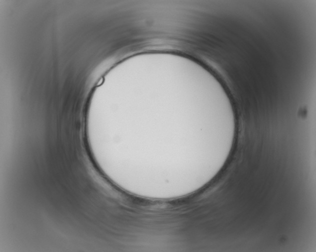 X0000113751467200910211136