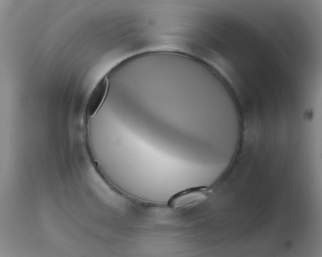 X0000113751468200910211136