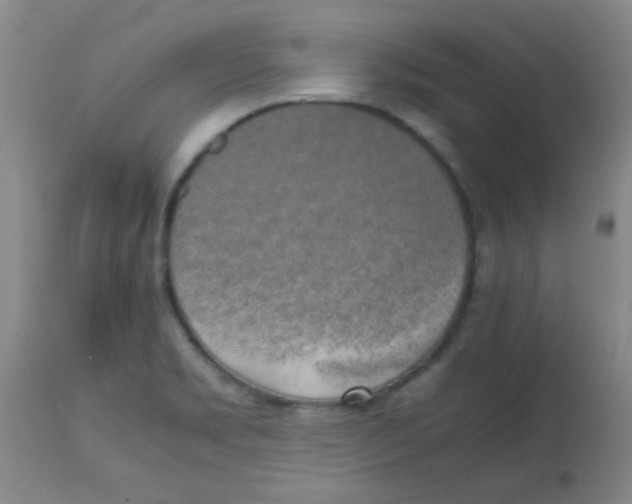 X0000113751469200910211136