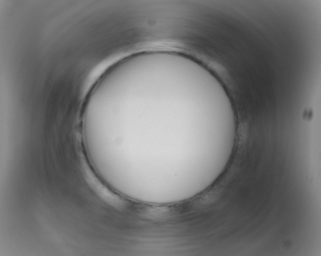 X0000113751470200910211136