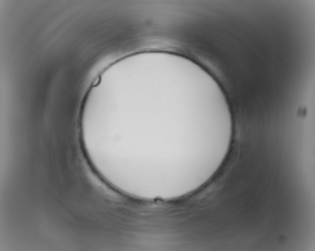 X0000113751471200910211136