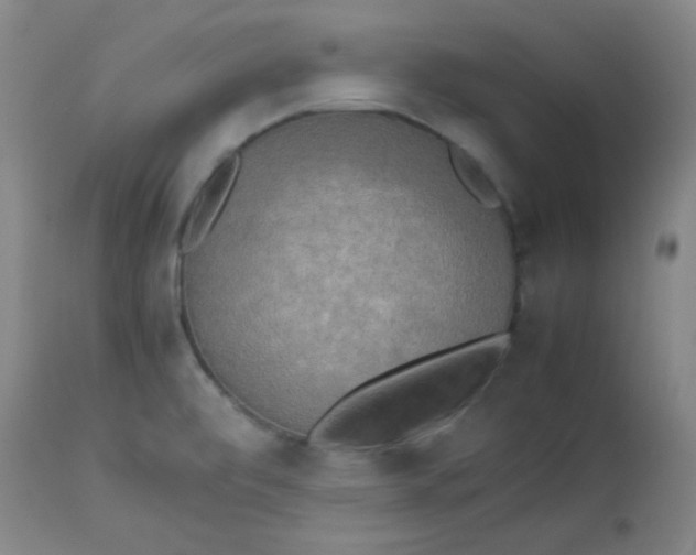 X0000113751472200910211136