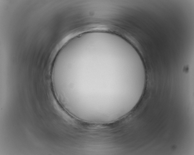 X0000113751475200910211136