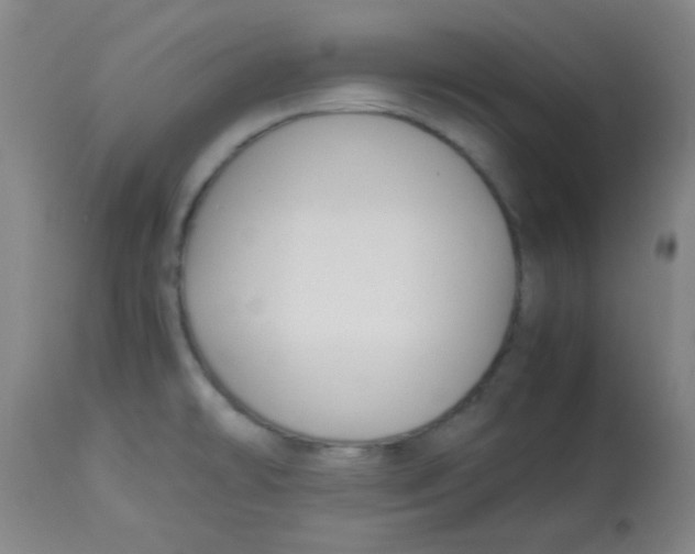 X0000113751478200910211136