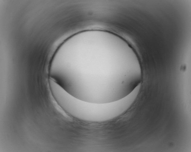 X0000113751480200910211136