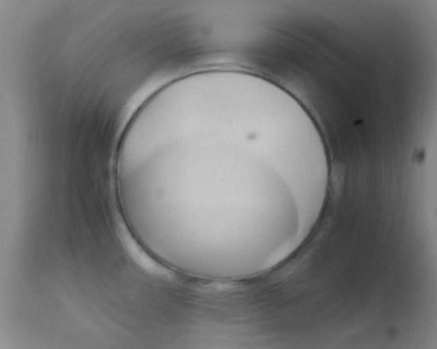 X0000113751482200910211135