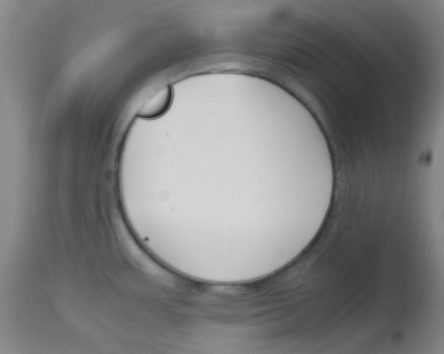 X0000113751483200910211135